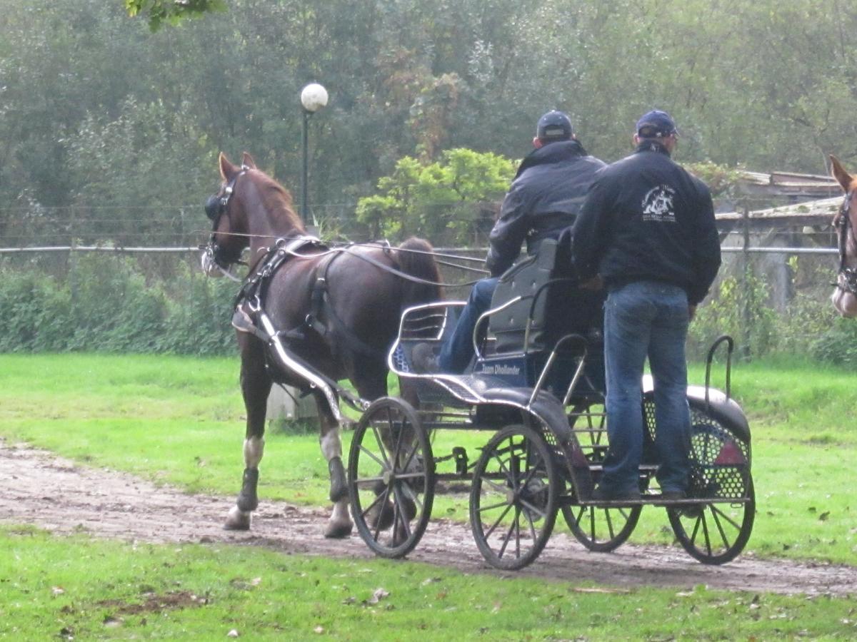 Hotel De Watermolen Bocholt Eksteriør bilde